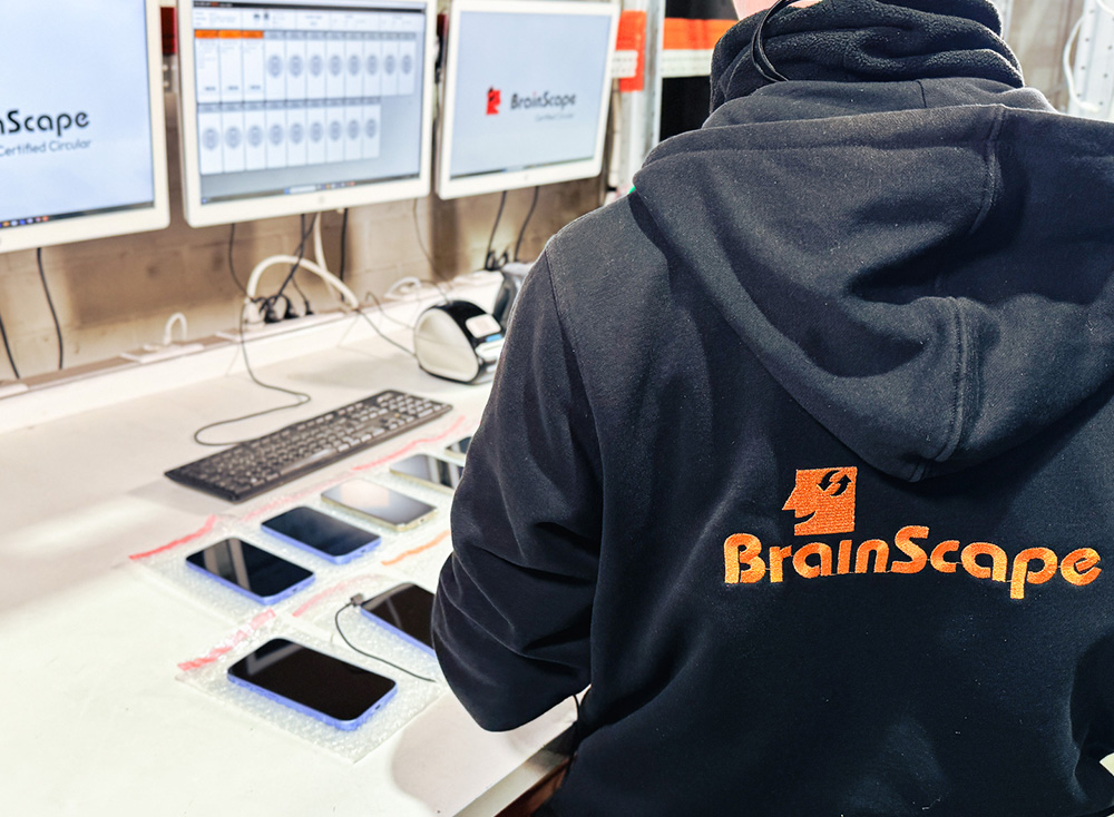 Datavernietinging met wipen